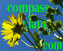 compassplant.com